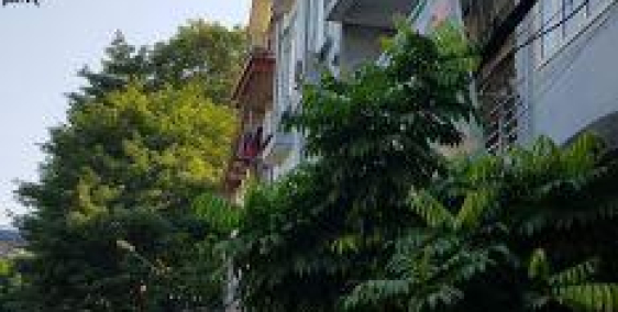 Mặt phố Đông Các, 2 mặt thoáng, kinh doanh cực đỉnh 60m2,4t, mt 4m, 14.8 tỷ.