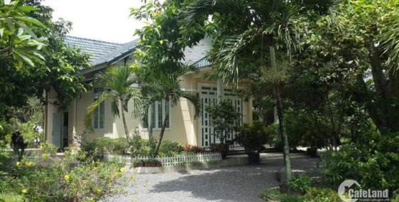 Định cư nước ngoài cần bán căn biệt thự vườn hơn 2000m2 tại Củ Chi