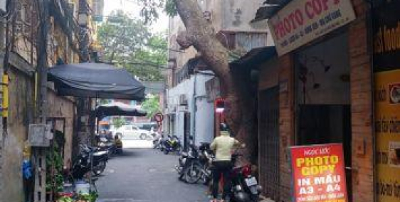 Hottt dân đầu tư nên mua ngay nhà cách đường Nguyễn Trãi 20m, ô tô đỗ cửa