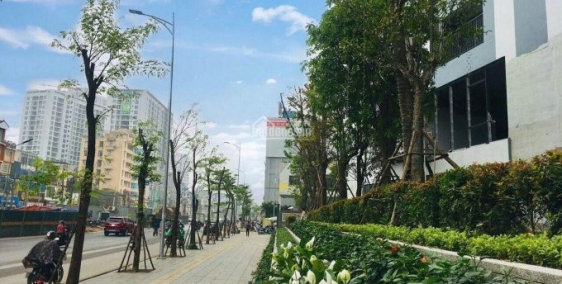 Bảng giá và chính sách ưu đãi của dự án " Vườn chân mây" view sông Hồng, 423 Minh Khai của tòa A