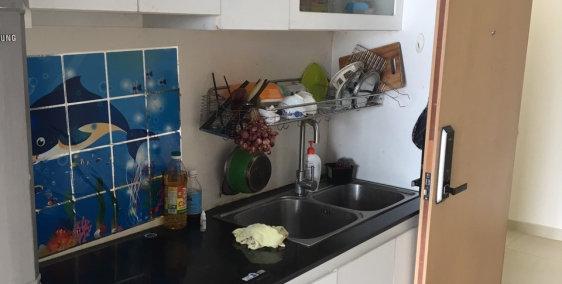 M-one apartment in District 7 for rent, 10 minutes to Downtown