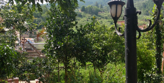 Bán Đất Tặng Biệt Thự - Chỉ 2,8 triệu/m2 - Đức Trọng - Lâm Đồng