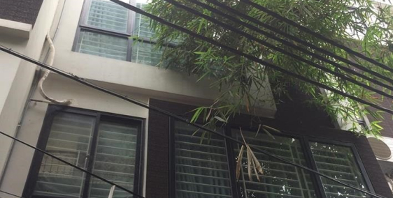 Nhà mặt phố nam tràng,xây căn hộ cho tây thuê giá 15,5 tỷ