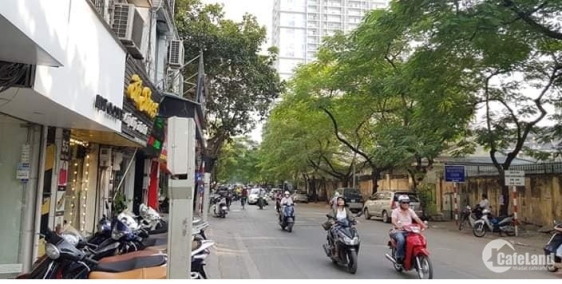 Bán nhà mặt phố Trần Hữu Tước, 7 tầng, gần hồ, kinh doanh đẹp, 13.7 tỷ