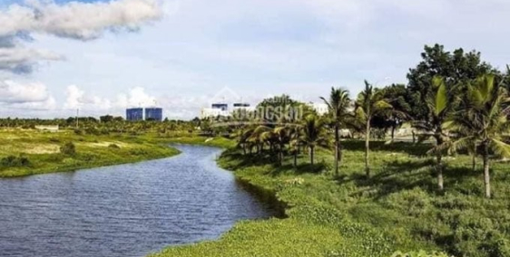 Đất biển Thống Nhất mặt tiền đường Lạc Long Quân 100m2 giá 1 tỷ 620 triệu