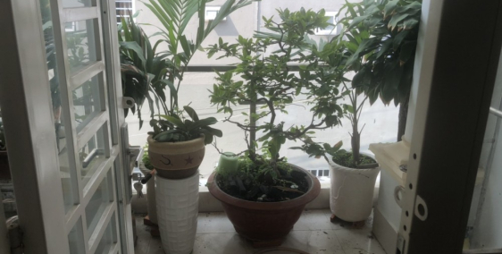 cần bán lại căn nhà đường Gò Xoài ,P.Bình Hưng Hòa A.Tân Bình ,Shr.