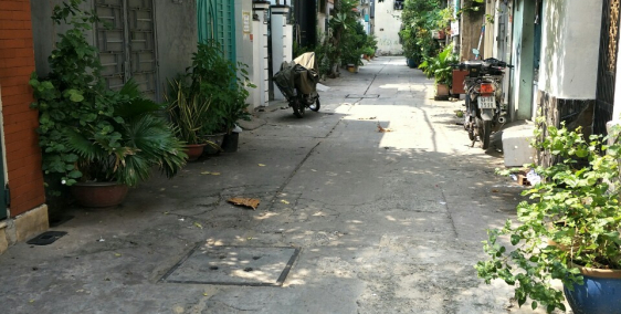 Bán nhà HXH Trần Quang Cơ P,Phú Thạnh Q,Tân Phú  DT  4x20  1 lầu  Gía 5,3 tỷ TL