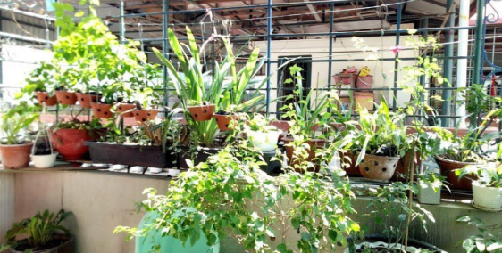 BÁN NHÀ ĐẸP VŨ TRỌNG PHỤNG - NGÕ Ô TÔ- 35M2-GIÁ CHỈ 2.98 TỶ