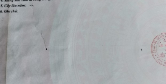 Bán Gấp nhà hẻm 178 Phú Lợi, 5x18 đường oto Khu dân cư đông đúc