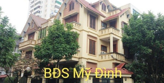 Biệt thự Bùi Xuân Phái, Mỹ Đình 2. DT 200m * 3.5 tầng. Gía thuê 30 tr/th