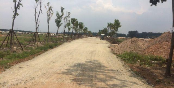 Ra nhanh 2 lô mặt tiền,lô góc,đất dự án thích hợp cho nhà đầu tư và để ở