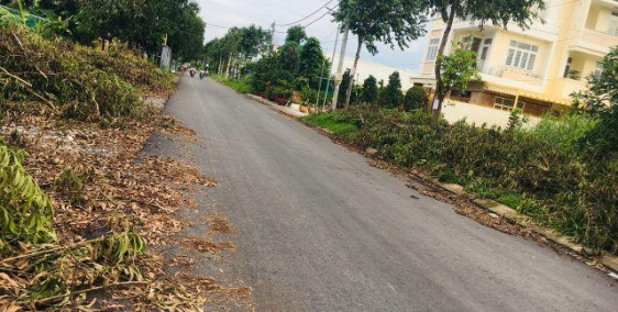 BÁN NỀN TRỤC CHÍNH TRẦN HOÀNG NA - HỒNG LOAN 6A