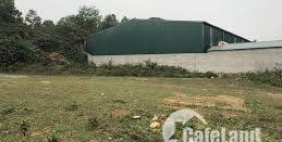 Ngân hàng phát mãi đất 1080m2 mặt tiền đường DT835 giá 1,8 tỷ.