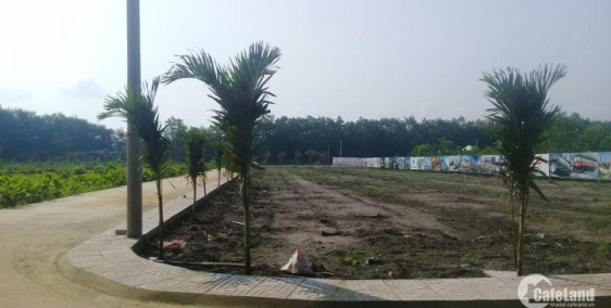 Dự Án Sky Center City Trong Lòng Khu Công Nghiệp Chơn Thành,Bình Phước