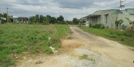 Mua vàng thì lỗ, mua thổ thì lời, sở hữu trọn đời, sinh lời gấp bội.