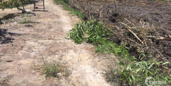 Bán đất thổ vườn huyện đức hòa, 1470m2 xã Hòa Khánh Nam giá 1 tỷ 300 triệu.