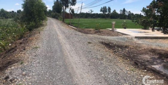 Bán đất công huyện đức hòa giá rẻ đầu tư, 1000m2 xã Hòa Khánh Nam giá 790 triệu.