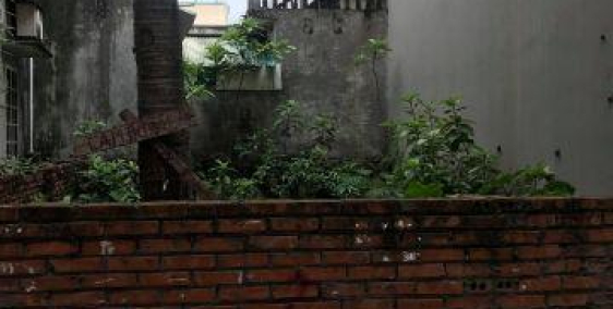 74m2 đất Đa Tốn, Gia Lâm đường ô tô Giá 16,5 triệu/m2.