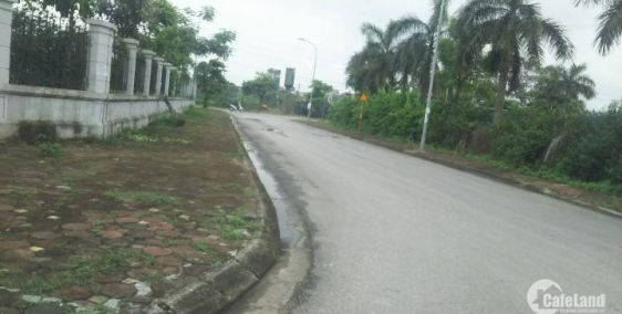 Chính chủ bán lô cạnh góc DA Thuận An khu 31ha Trâu Quỳ, Gia Lâm. DT112m2.