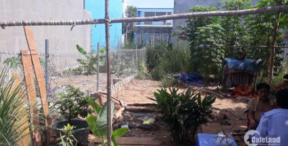 Ngân Hàng Thanh Lý Đất Bình Chánh:  2 Lô Góc Và Và 15 Lô Đất Liền Kề B.viện Nhi Đồng TP.