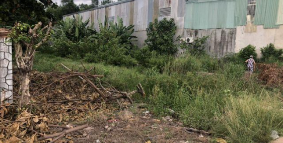 Cần tiền nên bán gấp lô đất Đoàn Nguyễn Tuân, Bình Chánh,1.2 tỷ,161m2, SHR, Lh: 0902861147