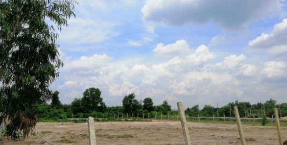 ĐẤT HÌNH CHÁNH 3500M2, GẦN CẦU BÀ LÁT ,5TR5/M2. SỔ ĐẦY ĐỦ.  ĐƯỜNG 6M. XE TẢI.