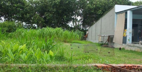 tôi cần bán gấp lại mảnh đất mặt tiền 335m2 Hương Lộ 11, giá 4,8tr/m2