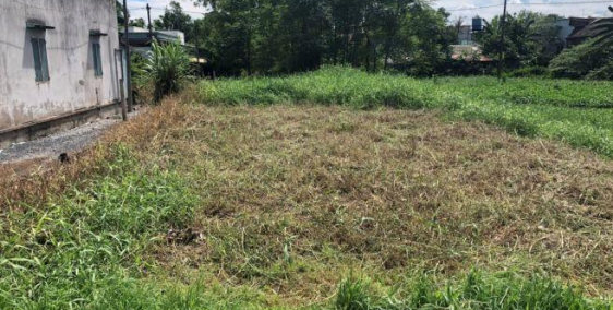 bán gấp lô đất 500m2 mặt tiền đường bình chánh gia 2 tỷ