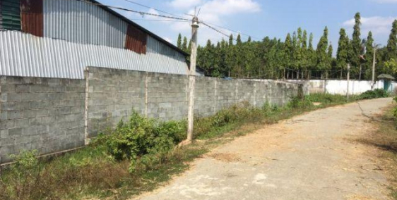 Đất rẻ nhất Củ Chi đã có sổ 12.5m*40m = 500m2 chỉ 2tr/m2