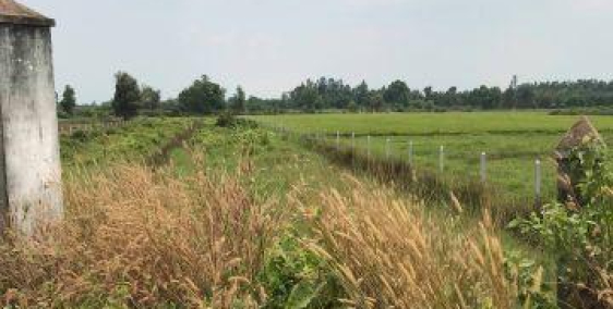 Cần bán lô đất thổ cư xã Trung An, DT:320 m2, Giá: 2.6 tỷ (bớt lộc).Đường 7m, Lh 0983733779 – 0856518555 Tiên