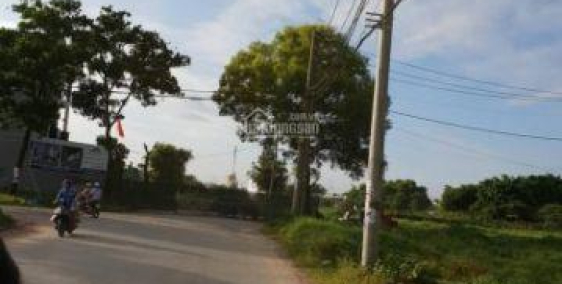 Cần tiền trả nợ bán gấp đất Nguyễn Văn Bứa Hóc Môn.