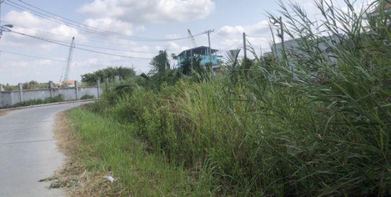 300m2 đất mặt tiền ở Hiệp Phước, đường xe hơi giá 1.73 tỷ