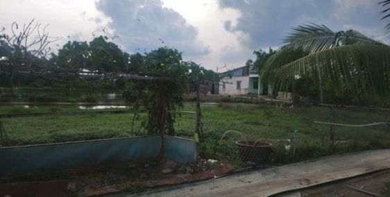 Bán tháo 1000m2 nông nghiệp gần UBND Hiệp Phước, sổ riêng giá 650tr