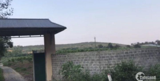 Tìm đối tác KD hoặc chuyển nhượng trang trại tại Lương Sơn, Hòa Bình