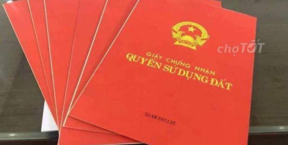 Chỉ từ 8tr/m2 sở hữu ngay đất sổ đỏ HN ngay gần Honda, Toyota,... và các KCN lân cận .