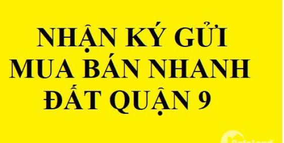 Bán nhanh nền đẹp giá rẻ - sở văn hóa thông tin quận 9, duy nhất chỉ có tại đây.