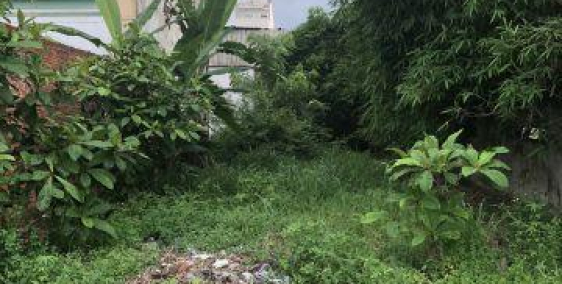 Đất Giá Rẻ Chính Chủ Q.Bình Tân Nằm Ngay Mặt Tiền Nguyễn Cửu Phú. DT: 85m2 GIÁ CHỈ 900tr