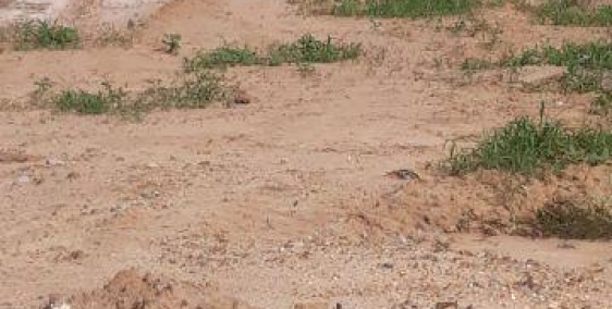 CƠ HỘI VÀNG CHO VIỆC ĐẦU TƯ