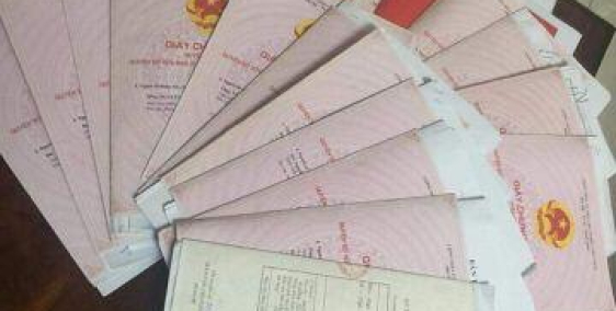 ĐẤT ĐẸP ĐẤT RẺ ĐẤT ĐẸP ĐÊ - MẠI DÔ MẠI DÔ - HÌNH THẬT 100%