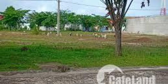 Tui vỡ nợ cần bán gấp lô đất 600m2 600 triệu 2 mặt tiền, sổ hồng đầy đủ 0902933372