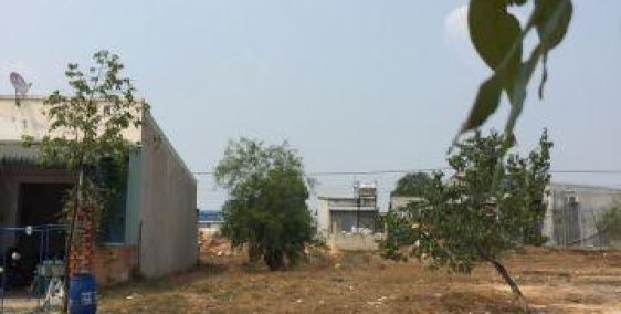 Vợ chồng cần tiền kinh doanh, bán gấp lô đất 300m2 SHR, thổ cư 100%, giá 620 triệu, gần bệnh viện