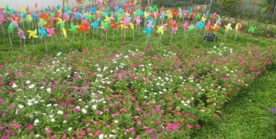 Vị trí vàng để đầu tư và an cư lạc nghiệp tại dự án Lộc Phát ngay trung tâm tx Thuận An