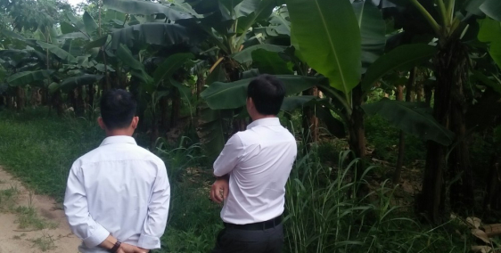 Đất Long Nguyên, Bàu Bàng. 1025m2. Giá chỉ 690tr.