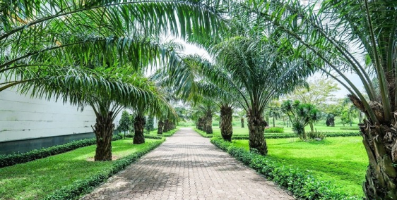 DỰ ÁN E-CITY TÂN ĐỨC HƯỞNG LỢI LỚN TỪ QUY HOẠCH HẠ TẦNG TỈNH LONG AN