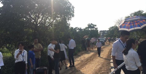 Biệt Thự Hồ Sen LAKE VIEW - Hòa Lạc, nơi đầu tư lý tưởng, sinh lời cao