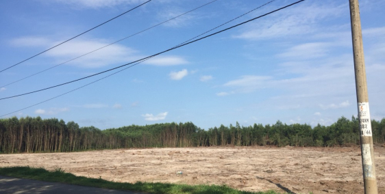 Đất biệt thự Hồ Tràm - đối diện sân bay Hồ Tràm - SHR