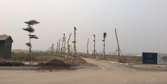 New City Phố Nối - Điểm đến đầu tư mới của giới địa ốc