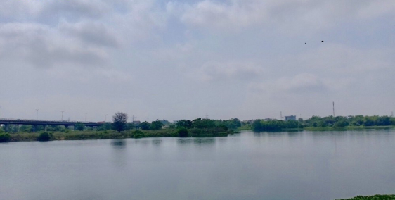 Chủ đầu tư chính thức mở bán 30 lô cuối cùng biệt thự Đảo Nổi mặt tiền sông Hàn