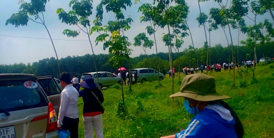 Bán đất rẻ, đầu tư thấp, giá trị sinh lời cao