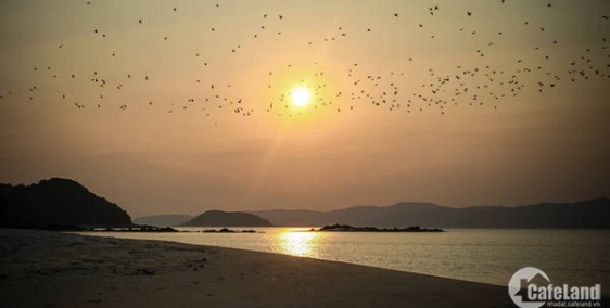 Đón sóng đầu tư, đất vàng giá rẻ, chính chủ bán gấp 745 m2 đất ở, khu 4 thị trấn đảo Côtô. LH: 098 2153360